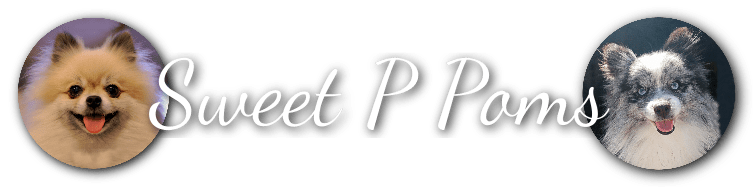 Sweet P Poms web logo